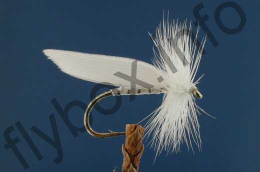 White Miller Sedge Fly - Fishing Flies with Fish4Flies Worldwide